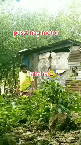 nag motor Ang pusA #pusa #motorcycles #manok #nagsakay #sakay #highightseveryone #highlightseveryonefollowers #paherth❤️ #likeshare #viewerstiktok #friendstiktok #heart 