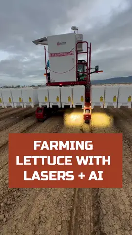 Farming Lettuce with Lasers + AI  - #farming #lettuce #ai #lasers