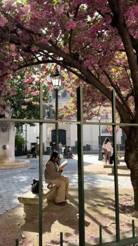 the joy of reading on the first warm days of spring #paris #readers #art #theartofnoticing 