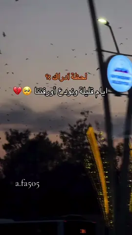 #اللي_يدور_للوصل_باب #ديريهہ👑😌 #اورفا #نشاركم_بالترند_على_طريقتي #فيننا_النمسا🇦🇹 #نشاركم_بالترند_على_طريقتنا😂💔 #الشعب_الصيني_ماله_حل😂✌️ #اورفا #اورفتنا_الجميله😌 #المانيا🇩🇪 #قطر🇶🇦 #نرجع_نشارك_بالترند🥺 #الفخم🖤🤞 #لحظة_ادراك 