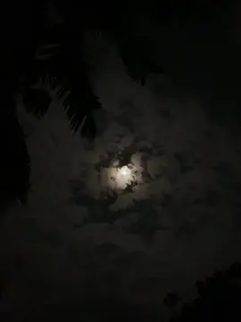 জীবনে সব ব্যর্থতা বুলে যাই যখন রাতের একাকীত্ব চাঁদ দেখি 😊🖤#avibaroi2007 #avibaroi3 #unfrezzmyaccount #foryoupage #foryoupage #tiktok @TikTok @TikTok Bangladesh 