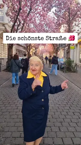 Die schönste Straße in stdat Bonn 🌺🌺 #habibi #fby #germany #tik_tok 