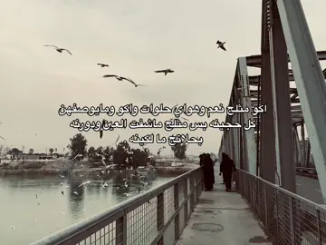 شگبان 🥹✨+قناتي الـ تلي بلبايو #شعروقصايد #شعر_شعبي_عراقي #اقتباسات #viral #موصل #fyp 
