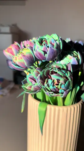 💜💙💜💙 #bibbleblumen 