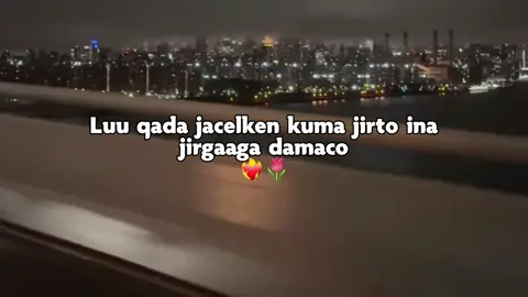 Jacelkena kuma jirto in aan jirkada damaco ama firiyo #freefire_lover #fypdongggggggg #foryoupage #postrebecty #tylerthecreator #respect #respect #tylerthecreator #postrebecty #foryoupage #fypdongggggggg #freefire_lover #postrepecty #postrepecty #foryoupage 