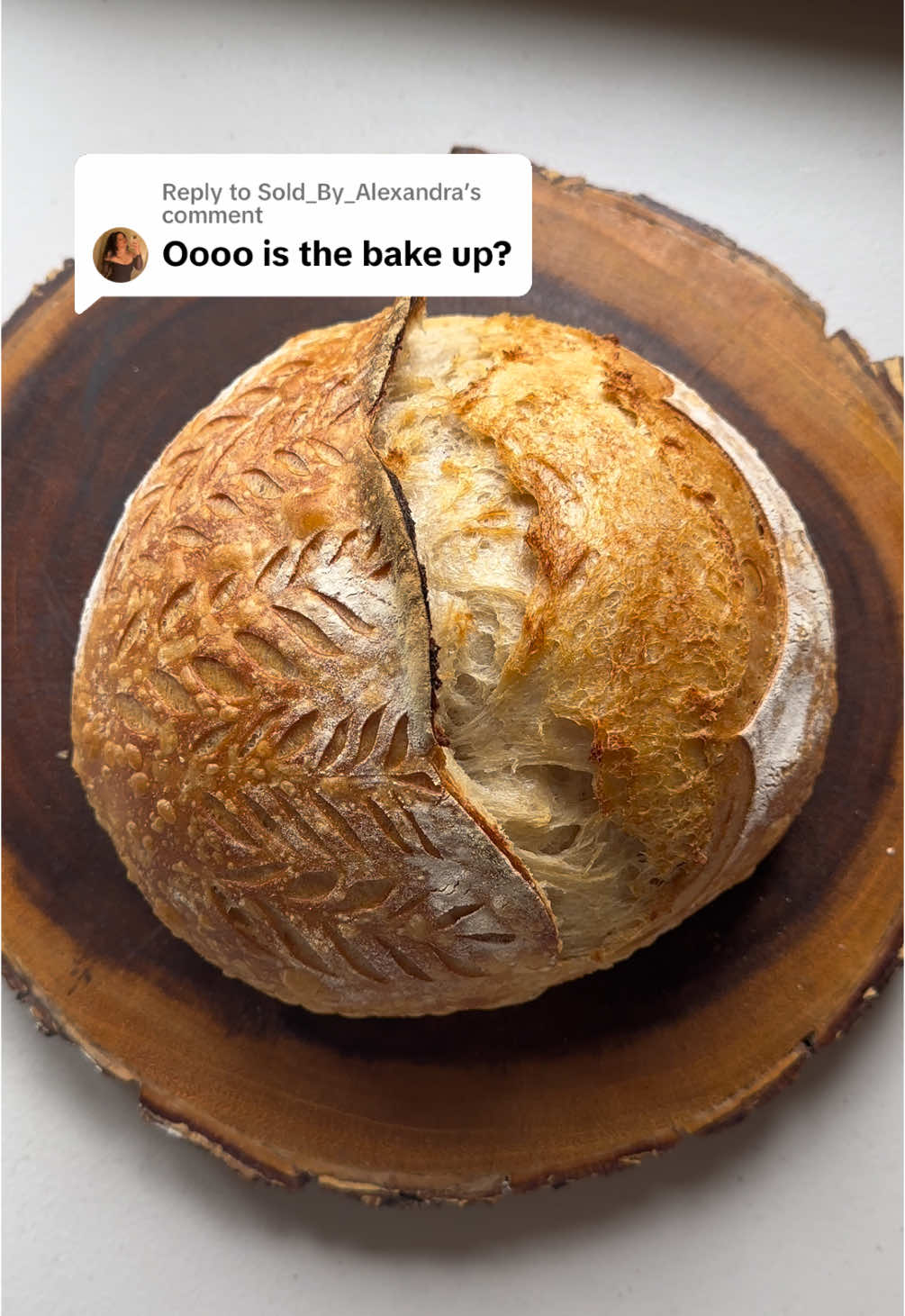 Replying to @Sold_By_Alexandra  #sourdough          #sourdoughscoring   #sourdoughbread     #breadart   #artisanbread       #scoringbread   #naturalleaven      #breadscoring   #wildyeast          #scoredbread   #fermentation       #sourdoughart   #slowfermentation   #breadscore   #homemadebread      #decorativebread   #crumbshot          #sourdoughdesign   #breadbaking        #sourdoughpatterns 