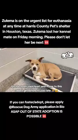 📣🚨🚨URGENT 🚨🚨 Zulema is on the urgent list for euthanasia ☠️ at any time ⏳️at harris County Pet's shelter in Houston texas. Zulema lost her kennel mate on Friday morning please don't let her be next 🆘️  Please consider fostering if you are unable to adopt it would save this sweet girls life 🙏💖🙏 Name. Zulema  ID #A633487  The shelter unalive healthy dogs 3 days a week Mondays, Wednesdays, and Friday mornings. Dogs are only given 15 days before they are placed on the euthanasia list. 😡 If you can foster/adopt please apply @Rescue Dog Army application in Bio ASAP ‼️  OUT OF STATE ADOPTION IS POSSIBLE.  Please message me if you have any questions.  Address  Harris County Pet's shelter.  612 Canino Rd in Houston texas.  #adopt #rescue #foster #resuedogarmy #savealife #harriscountypets #euthlist #FYP #dogsoftiktok #urgentshelterd #doggo #fosteringsaveslives #houston #texas #help #urgent #hero 