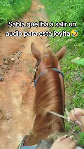 JAJJAJJA nunca olvidaré ese día y mi pierna tampoco 🤣 #parati #fypシ゚ #badbunny #meme
