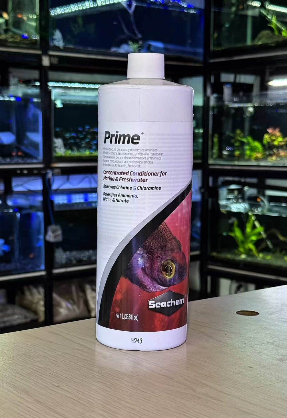 Prime de Seachem 🙌🏻✨ el mejor declorificador  En Blue Fish creamos acuarios profesionales con los mejores equipos y las mejores marcas al mejor precio 🙌🏼 🐠💦⁣ ⁣ 👉🏼 Variedad en peces y plantas⁣ 👉🏼 Decoraciones y Aquascaping⁣ 👉🏼 Creamos acuarios profesionales con los mejores equipos y al menor precio⁣ 👉🏼 Medicinas, alimento y suplementos.⁣ ⁣ Si estás pensando en adquirir un pez no dudes en escribirnos, con gusto podemos asesorarte 💦⁣ 📱098 766 4158⁣ ⁣ 📍Mall del Río - Felipe ll - Parqueadero Subterraneano⁣ ⁣ #BluefishCuenca #PecesCuenca #AcuariosCuenca #MascotasCuenca #AcuariosEcuador⁣ #pecesecuador #acuarioec