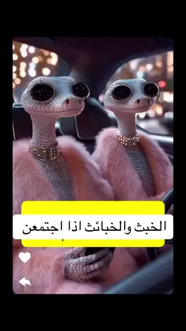 #Rawwaa❤️ 