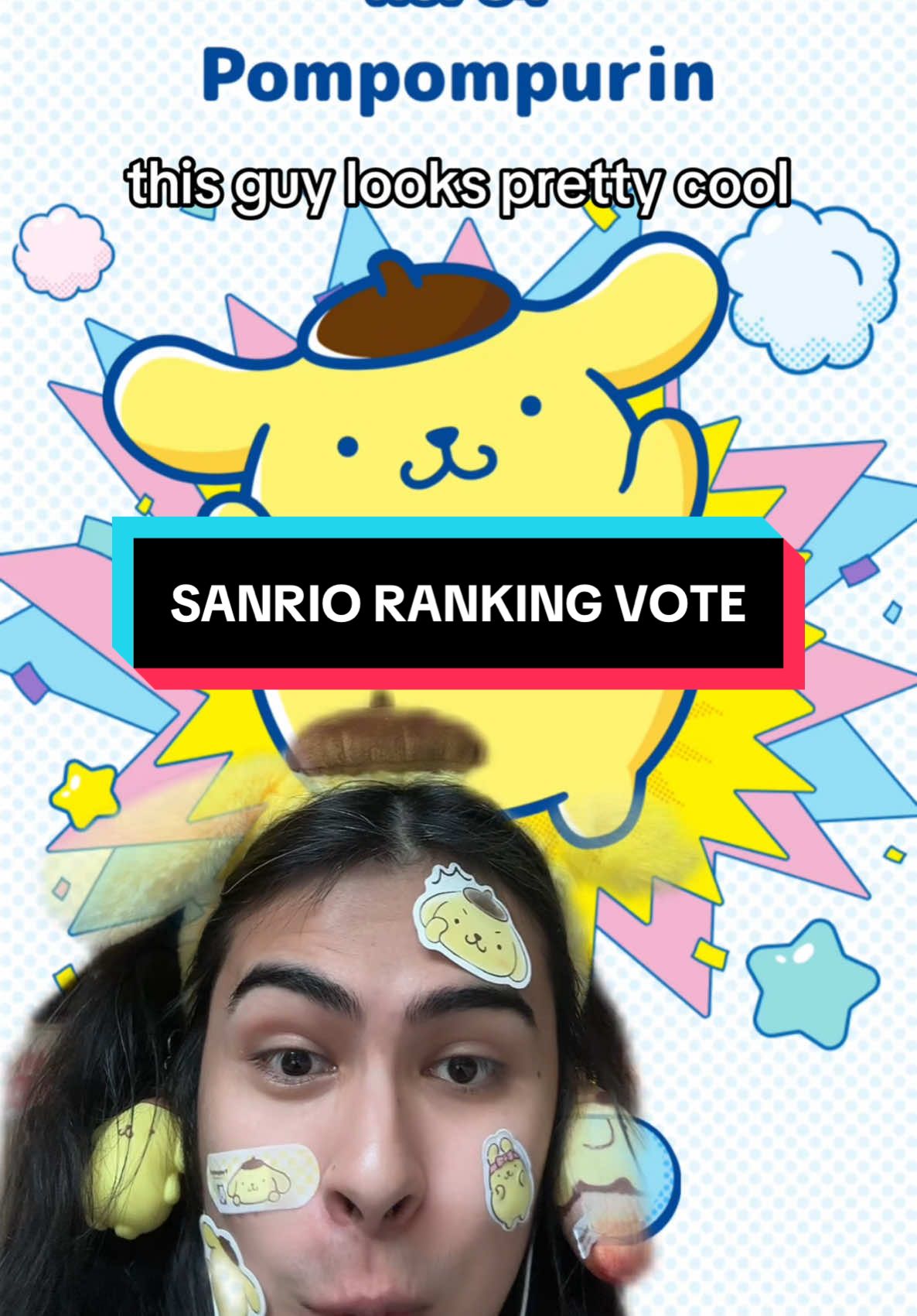 #sanrio #ranking #vote #2025 #pompompurin #cinnamoroll #chococat #pandapple #hanamaruobake #lol #munchymonk #swag #greenscreen 