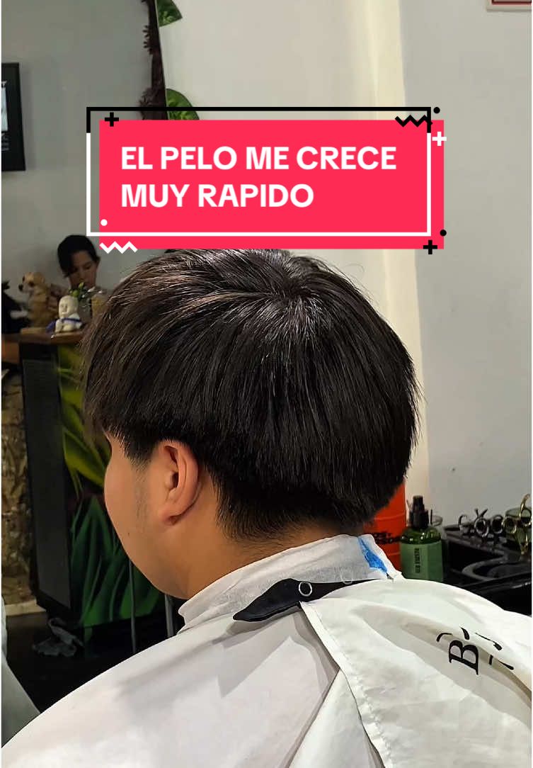 “Tengo un problema, El pelo me crece muy rápido”🥺🫣 #barber #barberias #barberia #peluqueria #asesoria #peluquero #buenosaires #argentinacampeon #barberiaargentina #barberias 