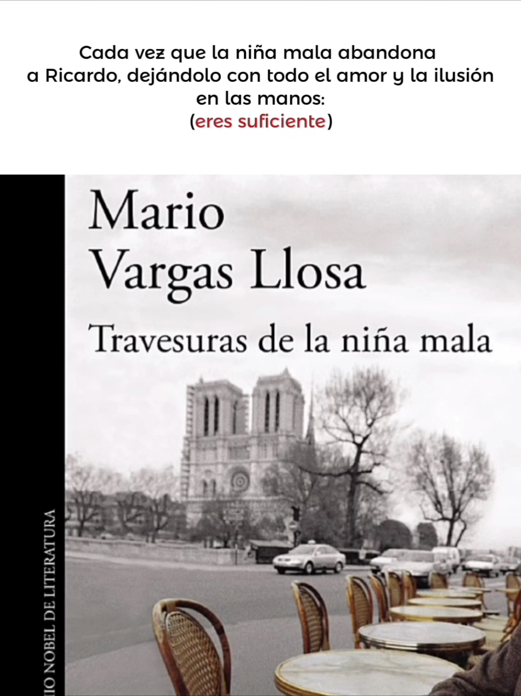 Merecías mucho más Ricardito❤️ #mariovargasllosa #literatura #libros #escritos #filosofia #fyp #frasesgua 