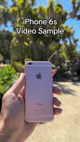 Pretty good quality for almost 10 years ago! #iphone #iphone6s #apple #2015 #appleiphone #iphonecamera #nostalgic #nostalgia #sandiego #smartphone #oldtech #tech #techtok #iphonevideography 