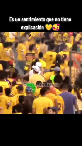 Es un sentimiento que no tiene explicación ser hincha del mejor equipo simplemente es lo más hermoso 💛🥰 #barcelonasc #bsc #BSC #BarcelonaSC #barcelonasportingclub🇪🇨💛🌘 #futbol⚽️ #idolo #barcelonascoficial #suroscuraecuador💛🇧🇪👊 #barcelonaecuador #barcelonasportingclub #conmebol 