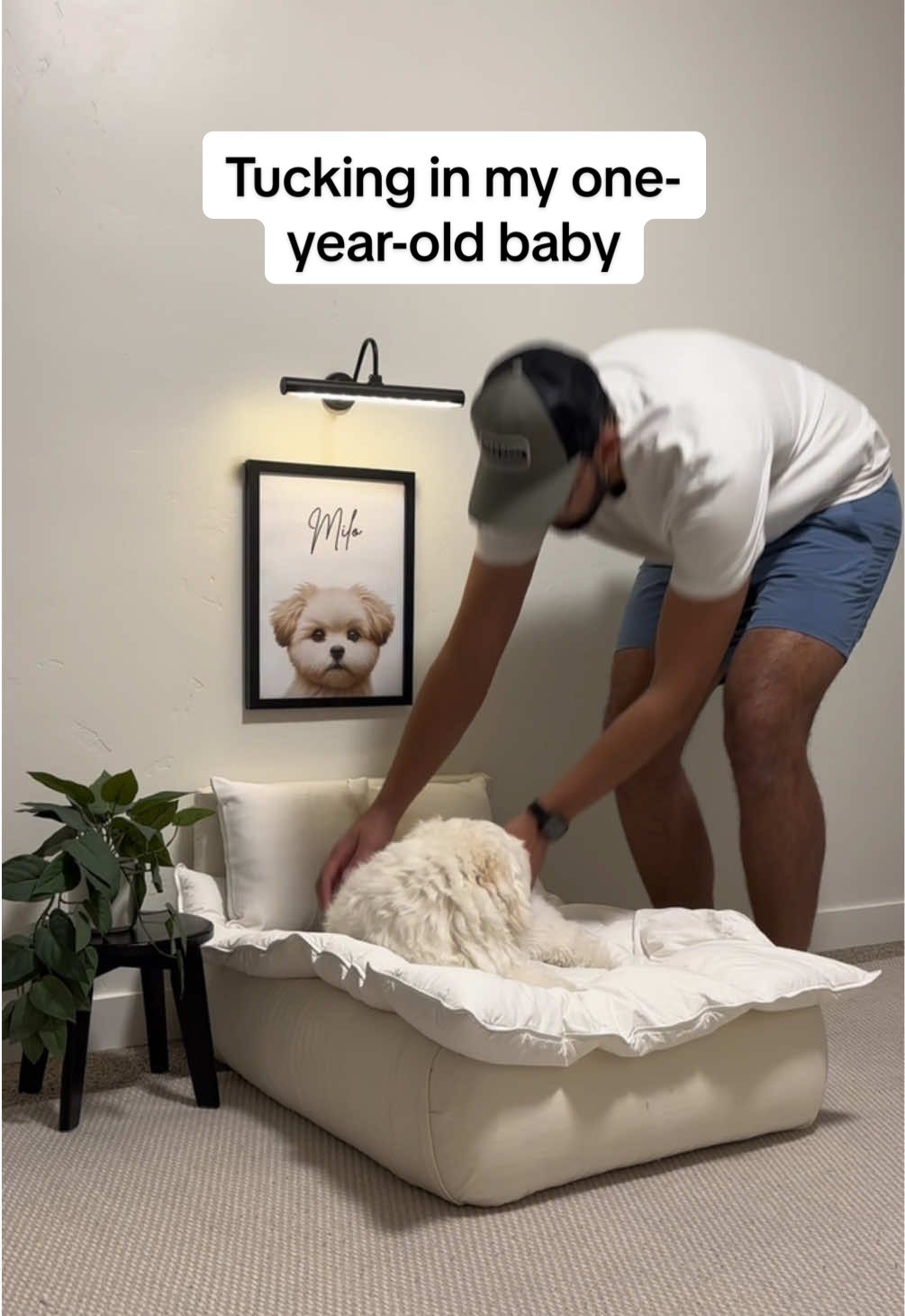 Because dogs are the new kids 🤌🏼 #puppy #maltipoo #bestdog #dogdad #nightroutine 