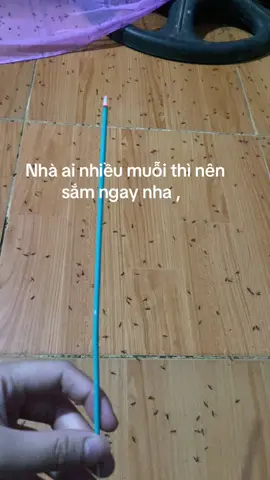 Mới người nên mua ngay nha mùa này nhiều muỗi lắm #xu #xuhuong #virral #muoi #banhang #ttlk 