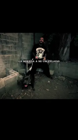#carteldesanta #ppcdsalvc #rap #raplirics #fyp #viralvideos #paraty #mealegrodesuodio #babo #babocartel #ego #letrasdecanciones #carteldesantababilonia 