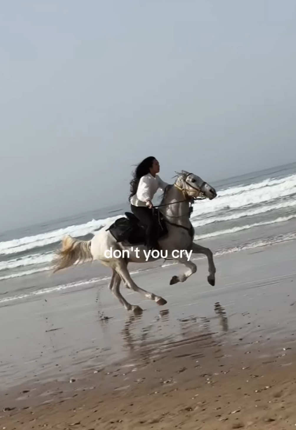life is better in morocco with @Cheval Essaouira🤠  #CapCut #selenagomez #horsetok #horsetrek #horsegirl 