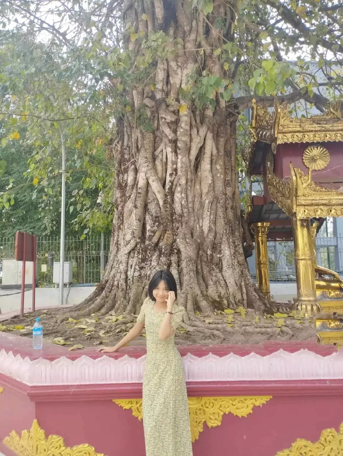 #ပုံတောင်းနေတဲ့လူတွေအတွက်ပါ 😍😍😍