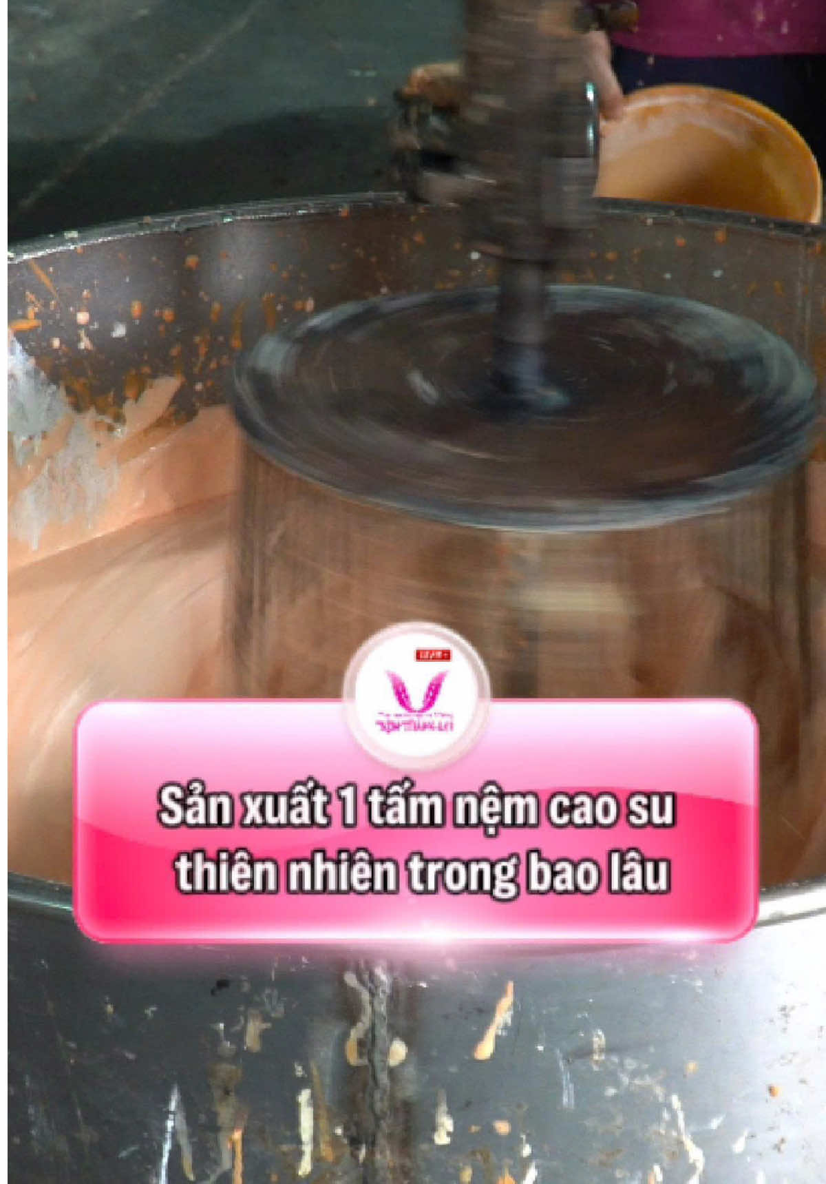 Sản xuất 1 tấm nệm cao su thiên nhiên mất bao lâu  #nemcaosuthiennhien #changagoidem #nemthangloi #nemthangloichinhhang #sanxuatnem 