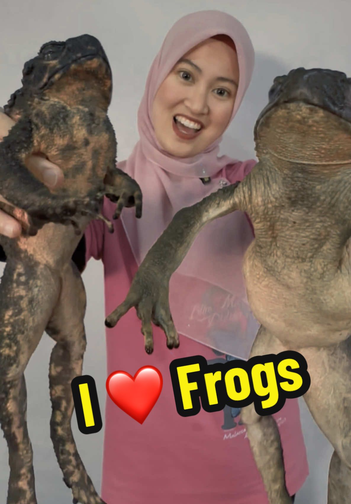 Takut pada katak? Cari saja Suhana—dia akan bantu anda atasi ketakutan itu, walaupun dengan katak terbesar di Malaysia, iaitu Katak Sungai Gergasi Malaysia! 🐸🐸🐸🐸🐸🐸🐸🐸🐸🐸🐸🐸🐸 Afraid of frogs? Suhana’s your go-to—she’ll help you conquer that fear, even when it comes to Malaysia’s biggest frog, the Malaysian Giant River Toad! #FearOfFrogs #FaceYourFears #GiantToad #MalaysianFrogs #BigFrogEnergy #WildlifeEncounter #AnimalAdventures #NatureLovers #MeetTheToad #MelakaWildlife #EcoTourismMalaysia #VisitMelaka #MelakaButterflyReptileSanctuary #MalaysiaTrulyAsia