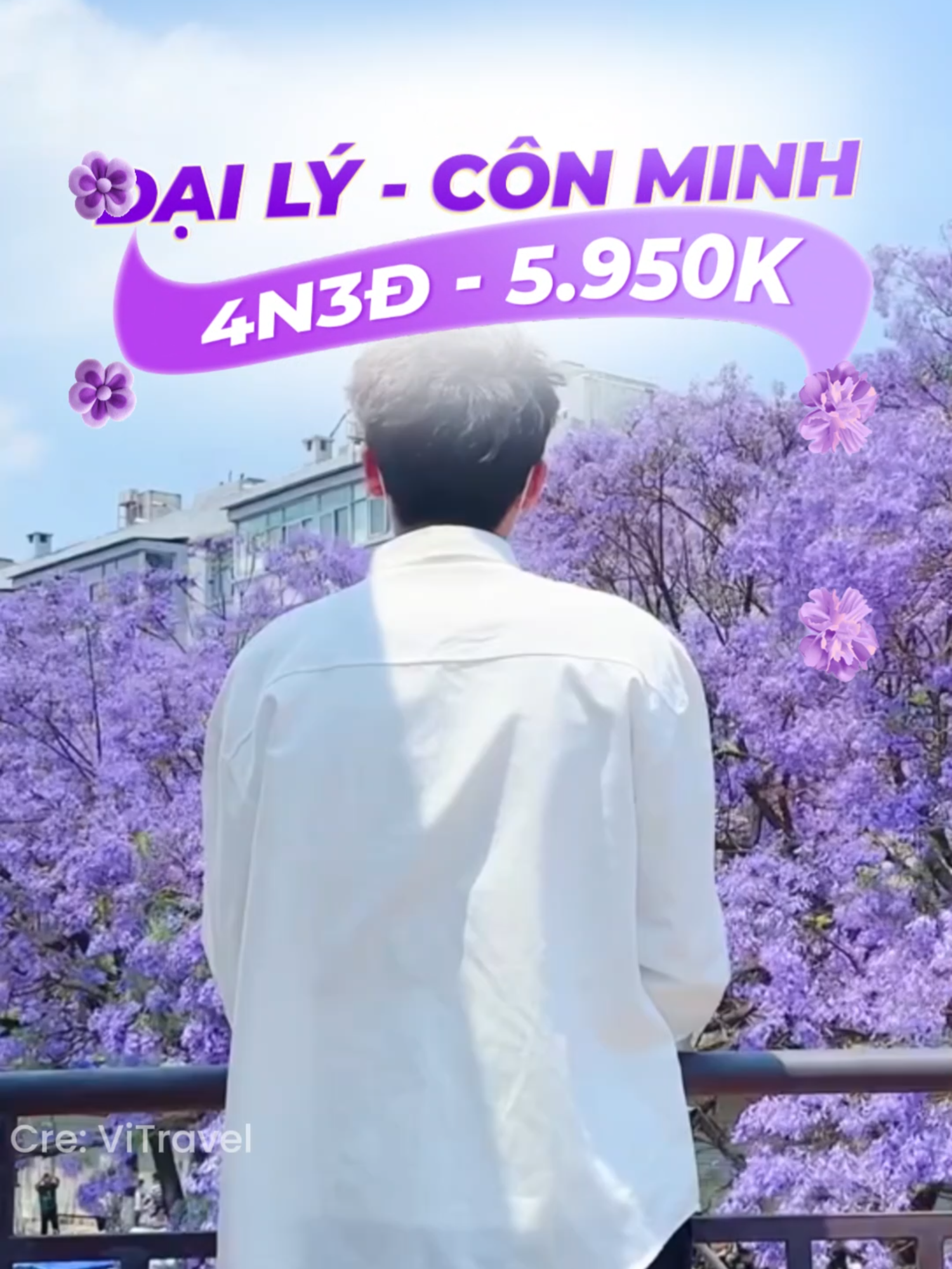 💜Tháng 4 đến rồi, Côn Minh đã vào mùa hoa phượng tím Nhanh nhanh lên lịch check in Đại Lý Côn Minh kẻo lỡ #dulichtrungquoc #tourtrungquoc #conminh #daily #muaphuongtim ##trungquoc #china #tiktokdulich