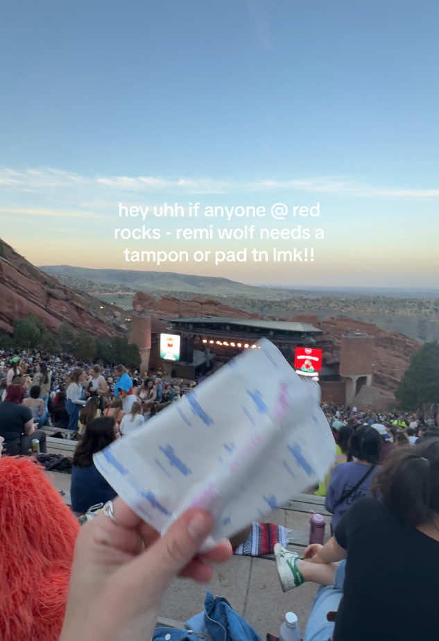 sitting almost at the back towards the right wearing big blue fleece sweater🫶🪩🦋🌥️🪨🎸 #remiwolf #redrocks #onmyperiod #concert 
