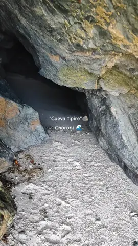 cueva secreta, ubicada en choroni Venezuela 🫶🏼🩵 #elmar #choroni #paratii #paratiiiiiiiiiiiiiiiiiiiiiiiiiiiiiii #venezolana #venezuela #playasdevenezuela #choroniparati #araguavenezuela #viralvideos @Playas Venezolanas @Playas de Venezuela 
