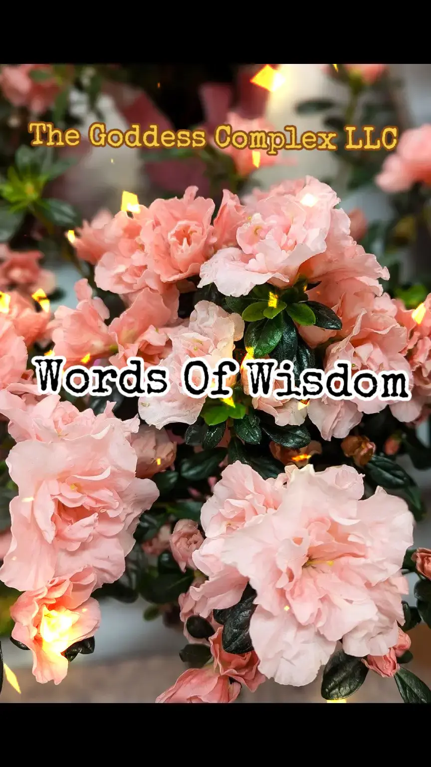 Like, follow and subscribe to The Goddess Complex LLC.  #fypシ #fyp #for #foryoupage  #funny 