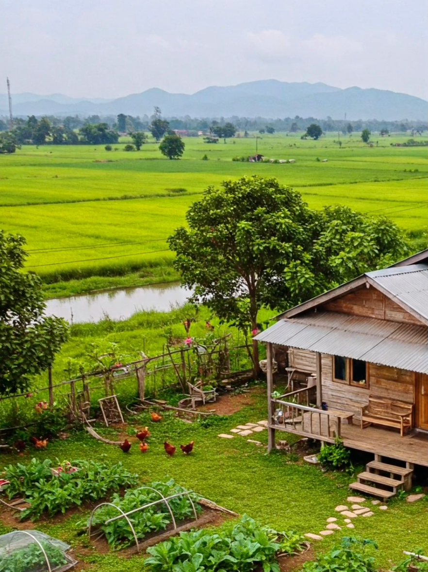 Pilih rumah bagus tp halaman sempit atau rumah biasa aja tp halaman seluas ini? #kampunghalaman #rumahsederhana #damaididesa #slowliving 