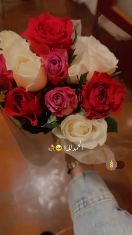 Alhamdulilah 🥺❤️#fypviraltiktok🖤シ゚☆♡ #Allah #Love #trending #viral 