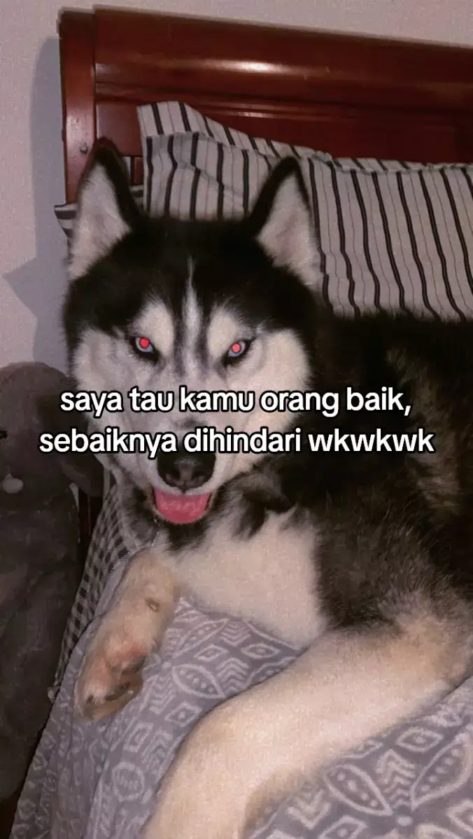 #katakata #sindiran #sindirankeras #katakatamutiara #berkelas #katakatastorywa_ #sindiranberkelas #fyp  #viral #fouryoupage  #aprilmop  #lewatberandafyp  ib:@uzygglkchee