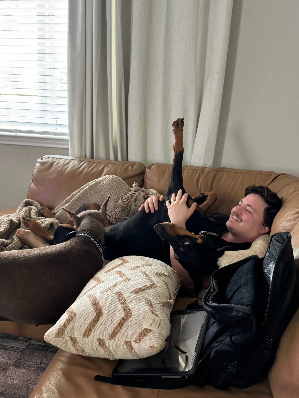 Saint loves throwing his paws in the air and just vibing. He will demand cuddles and then fall asleep on top of me 🤣