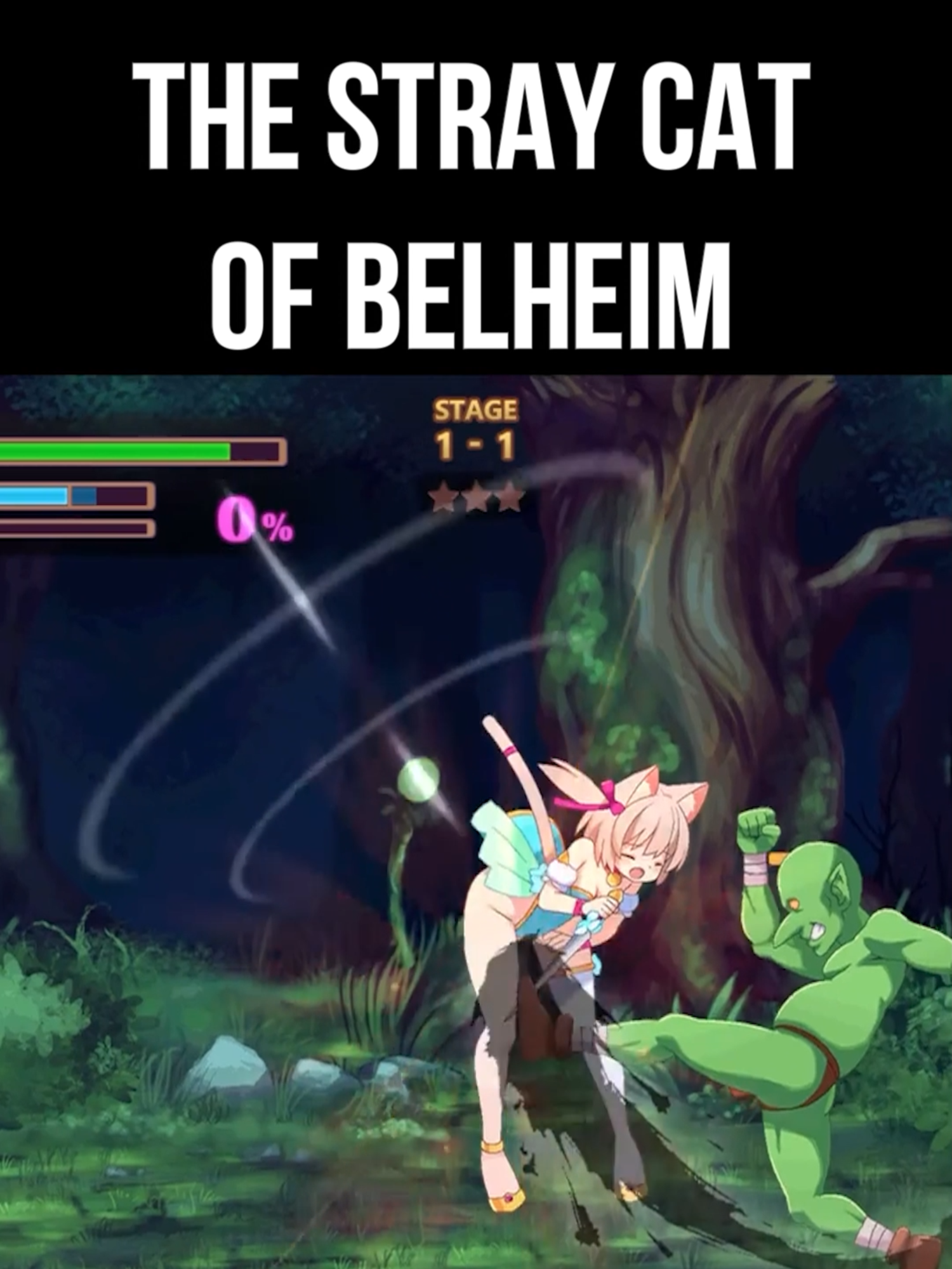 The Stray Cat of Belheim