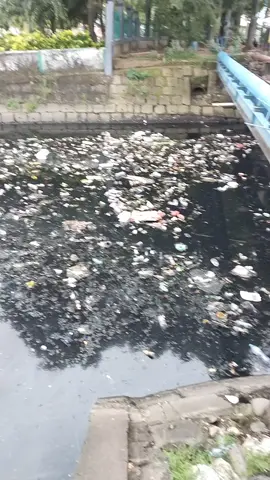 kanal kota makkasar makin parah sampah sepanjang kanal(sungai) penuh sampah dan air pun sudah bau busuk.masyarakat setempat kurang peduli kebersihan #managubernusSulsel #manapemerintahkotamakkasar #jangantutupmata