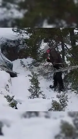 Outdoor survival expert, wilderness camping survival expert builds shelter for picnic overnight #bushcraft #camp #camping #survival #shelter #Outdoors #outdoor #build #fyp #viralvideo #wilderness #wildlife