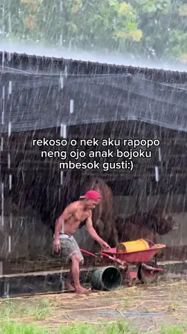 pripun sae ne mawon gusti😇 #foryou#peternakmuda#kulisapi#sobatngaret#katakata#sad  #fyp#fypシ#foryoupage 