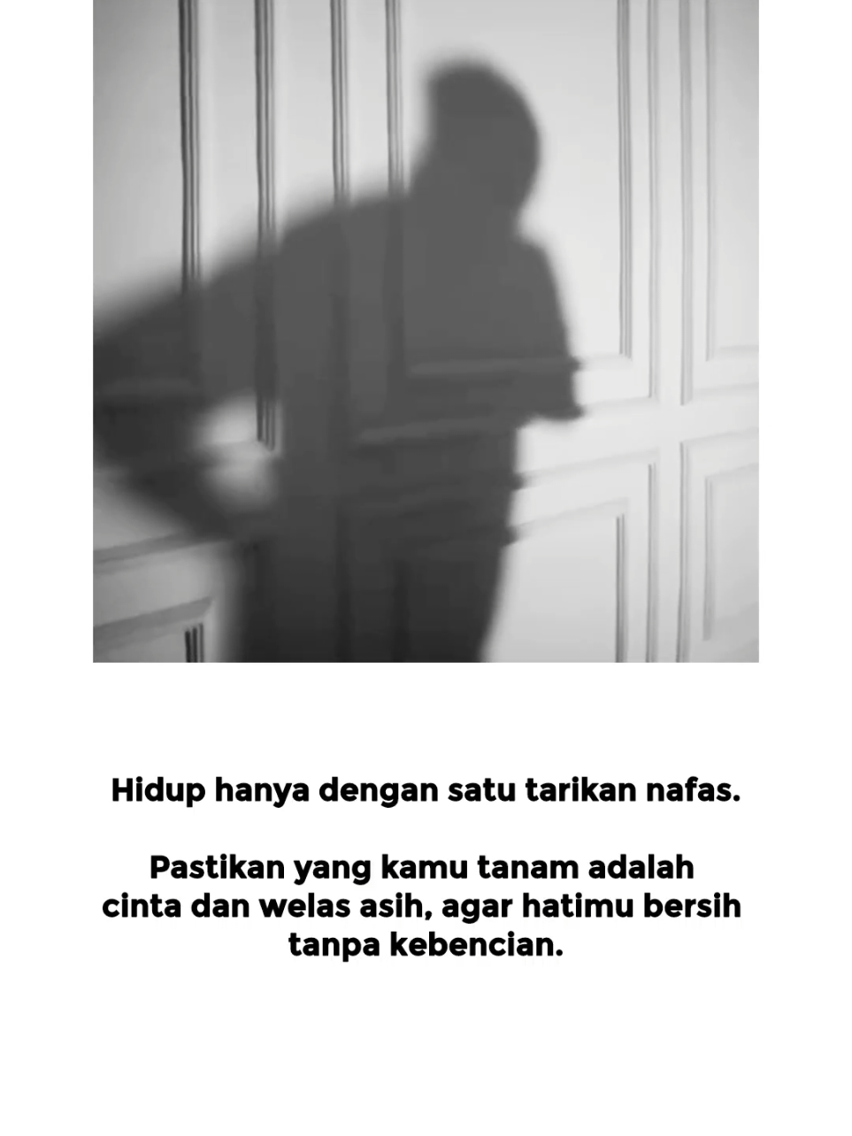Hidup hanya dengan satu tarikan nafas. Pastikan yang kamu tanam adalah cinta dan welas asih, agar hatimu bersih tanpa kebencian. #kaospsht #promo #fyp #pshtjaya #pshtindonesia22 #psht #pshtstory #pshtjember #pshtlampung #psht1922 #srikandipsht1922 #viral #pshtpusatmadiun #psht1922 #CapCut 