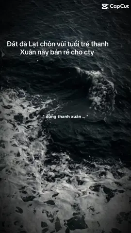Đất đà Lạt chôn vùi tuổi trẻ thanh Xuân này bán rẻ cho cty đồng lương thì ít ỏi mệt mỏi thì nhiều#xhtiktok 
