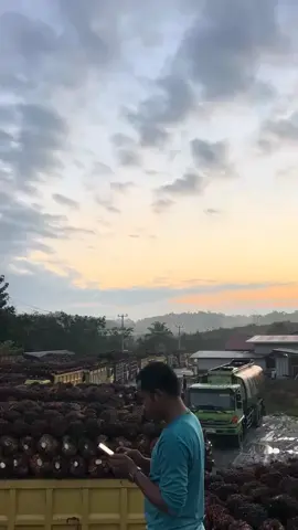 full macet di pabrik habis lebaran mau bongkar muatan 😮‍💨😮‍💨#fyp #drivermuda #sawitsumatraindonesia🌴🌴🌴 #viralvideo #fyp #supirtruck #xybca #viraltiktok 