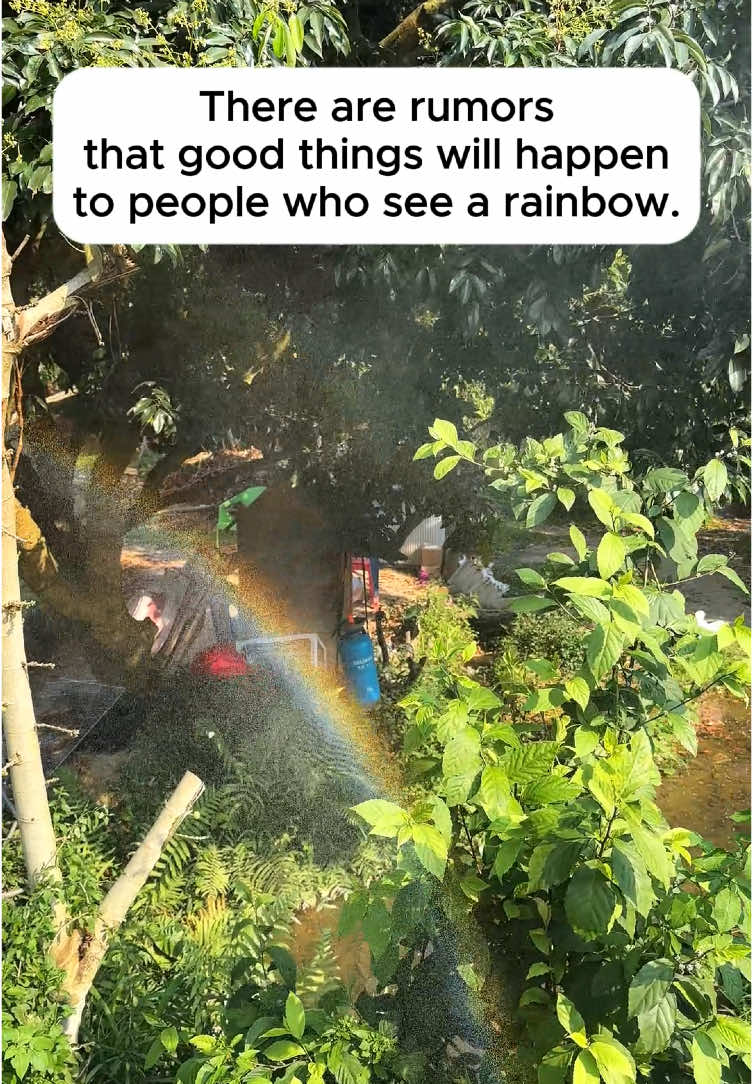 Enjoy the rainbow with TaskStar.#taskstar #powertools #garden #fyp #sprayer 