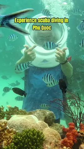 🌊🤿 Phu Quoc Scuba Diving – The World Under the Clear Blue Water! 🐠✨ Immerse yourself in the cool water, admire the colorful coral and schools of fish swimming around – the diving experience in Phu Quoc will definitely make you “fall in love at first sight”! 😍 Do you want to try it? #VietnamTour #ExploreVietnam #vietnamdailytravel #vietnampackagetour #VietnamTravel #BeautifulVietnam #PhuQuoc #scubadiving  #UnderwaterAdventure #PhuQuocIsland  #snorkeling