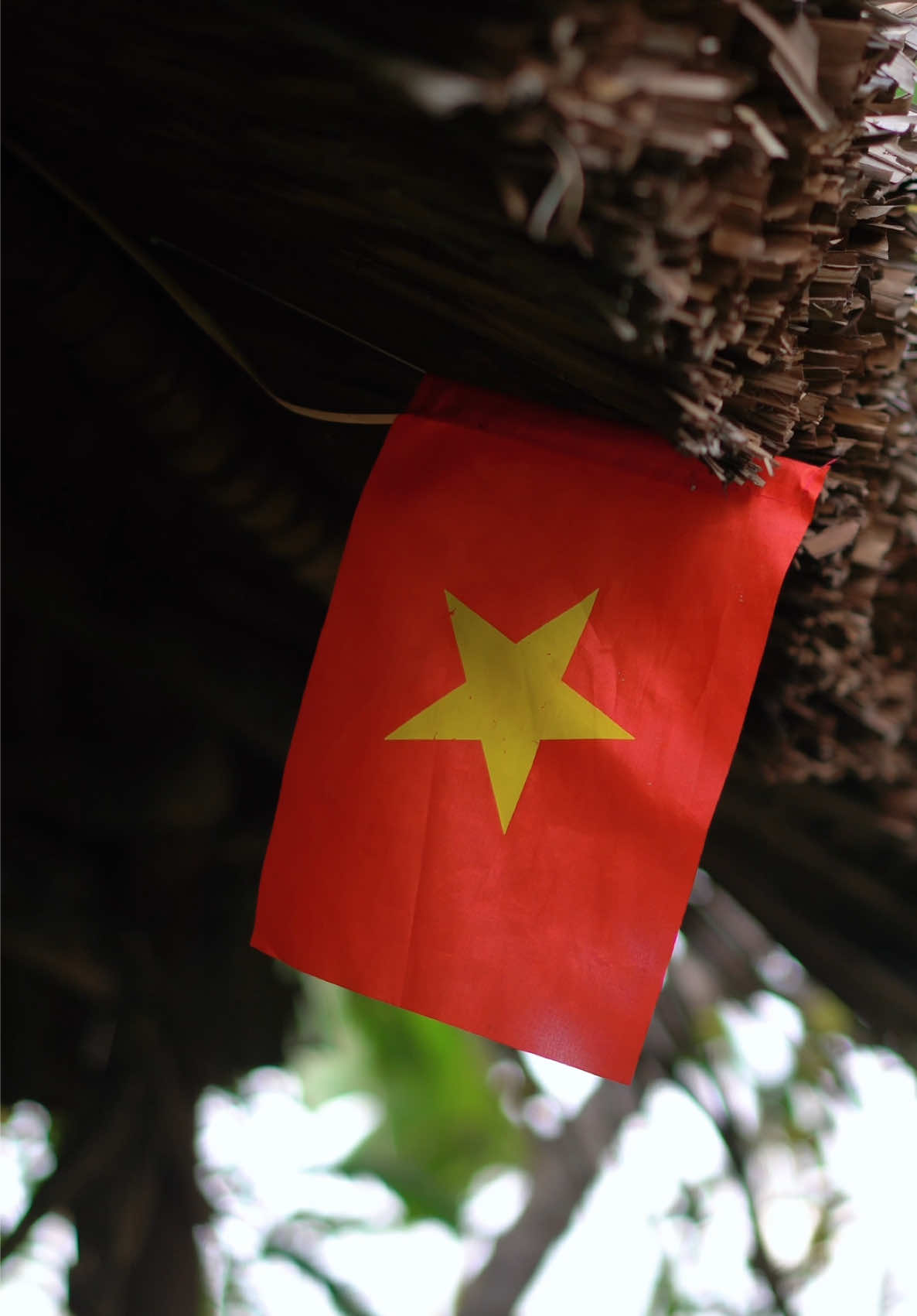 Món cá ngừ sốt cà chua cùng với khóm ăn thật ngon miệng, Hiếu Bi ăn mấy chém cơm luôn. #hieuchanque #cangusotca #cangukhokhom #dongque #binhyen #mientaysongnuoc 