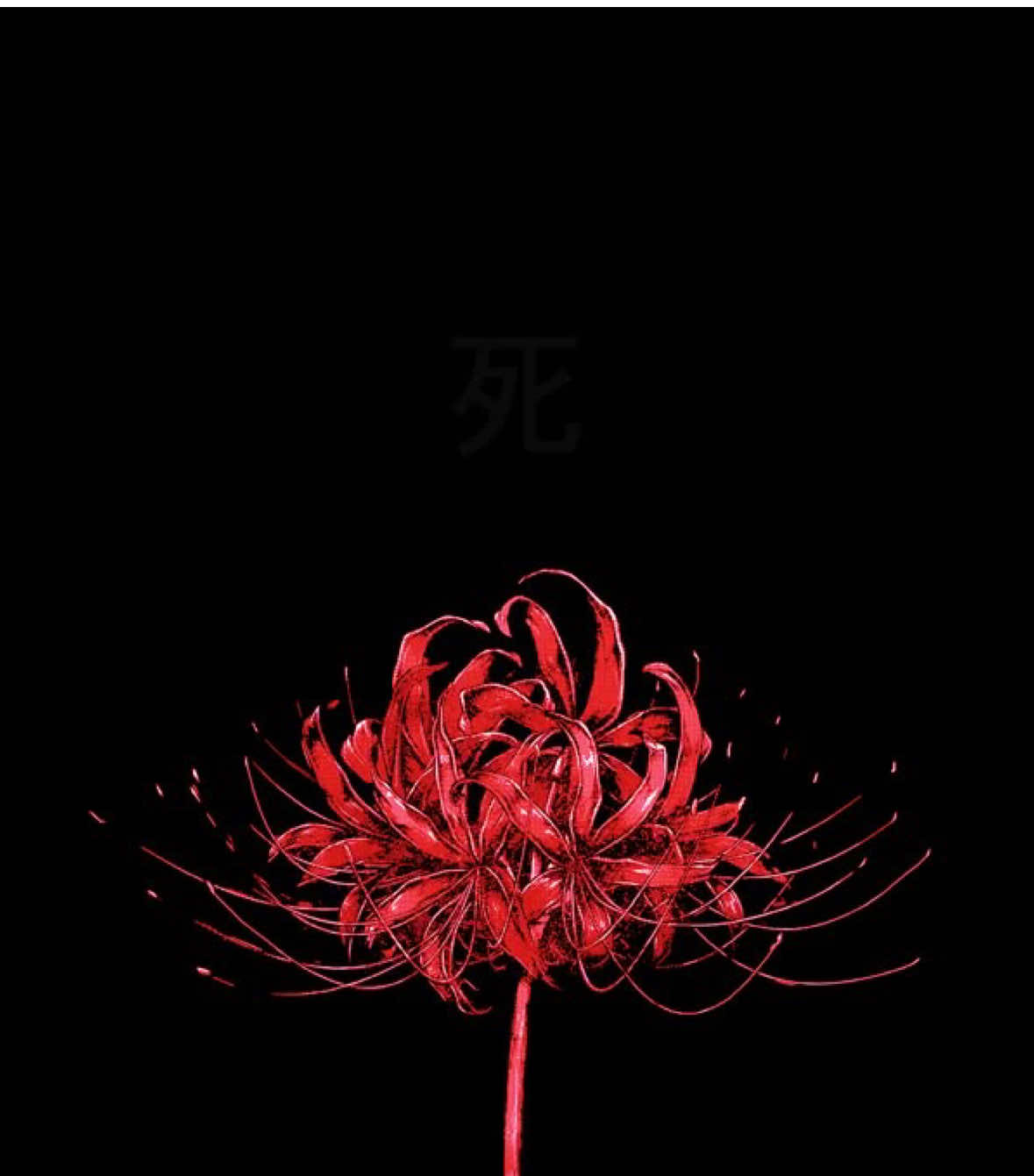 Unravel one of the best openings fr #tokyoghoul #kenkaneki #rizekamishiro #toukakirishima #tokyo #japan #ghoul #unravel #tkfromlingtositesigure #animeedit #redspiderlily #lycoris #Love #Death #animelover #animefan #manga #series #fyp #foryoupagе #foru #foryour #tiktokviral #anitok #viralvideos #makethisgoviral #tiktokdoyourthing #targetaudience #reachtherightaudience #cinematography #makeitmagical #makeitawesome #xyz #xyzabc #xyzbcafypシ #xyzba #xyzbc #abcxyz #blowup? #makemefamous 