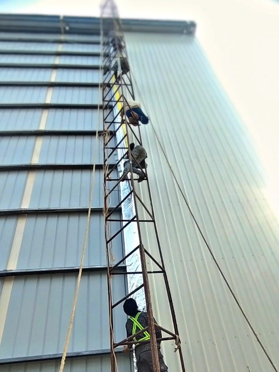 pemasangan cledding dinding #fyp #kontruksibaja #ereksenbaja #foryou #videoestetik #helmkuning #pesonapria #pekerjakeras #deltamas #cikarang #cladding #spandek #soundviral #kausangputriraja 