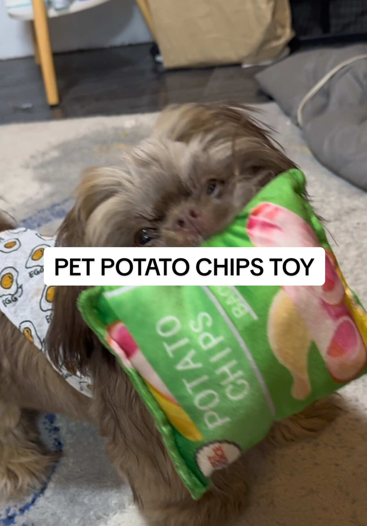 Grabe ‘yung pagkagusto ni Zaint sa laruan na ito. Ay gigil na gigil eh 😆 #potatochipstoy #pettoy #dogtoy #potatochipssqueakytoy #petsqueakytoy 