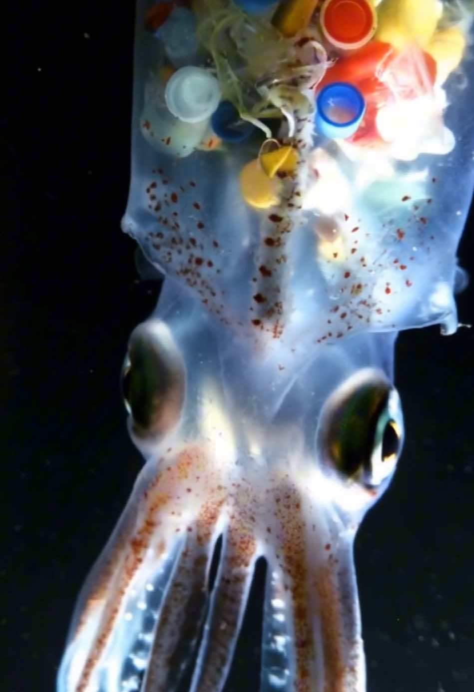 We utilized AI to create this video and bring the critical issue of ocean pollution to the forefront #saveouroceans #PlasticPollution #PlasticFree #Ocean #Environment #deepocean