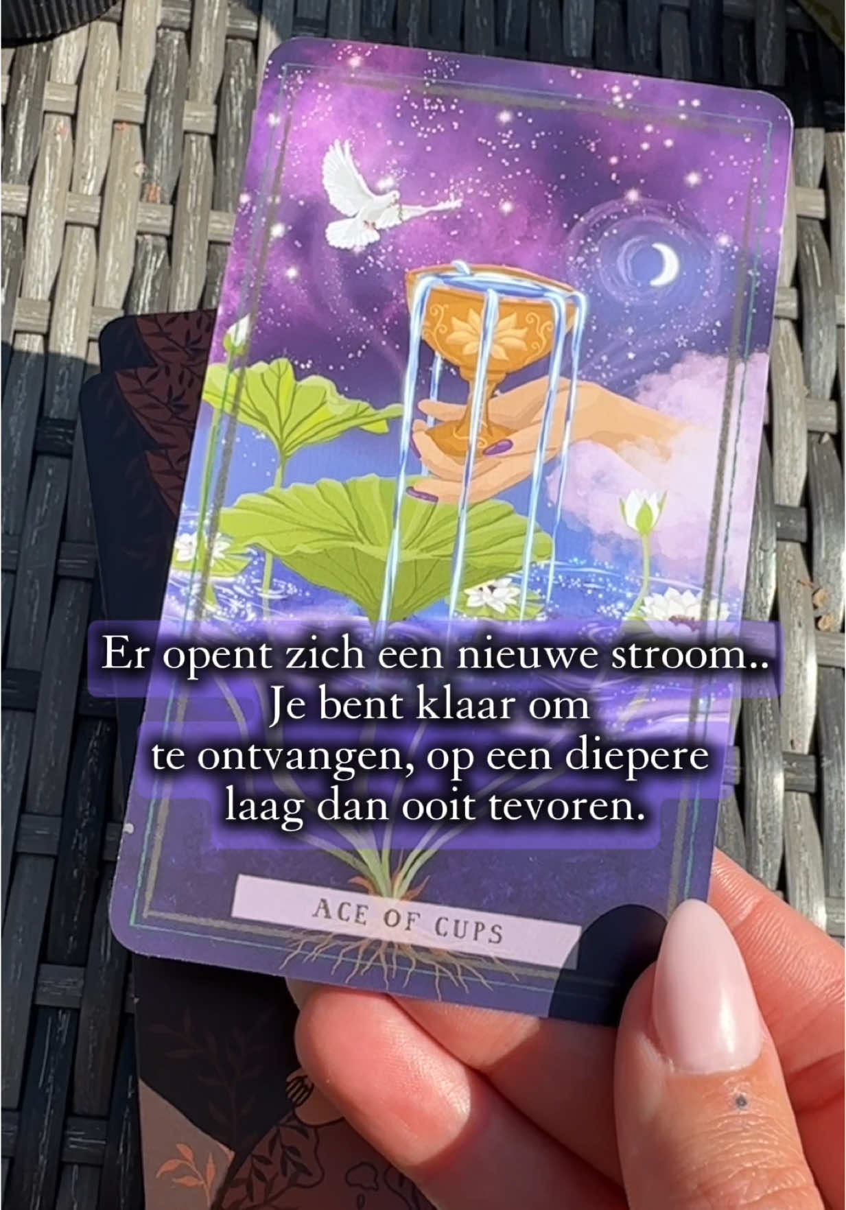 Reading voor jou 🤍✨ #reading #kaartlegging #spiritualiteit 