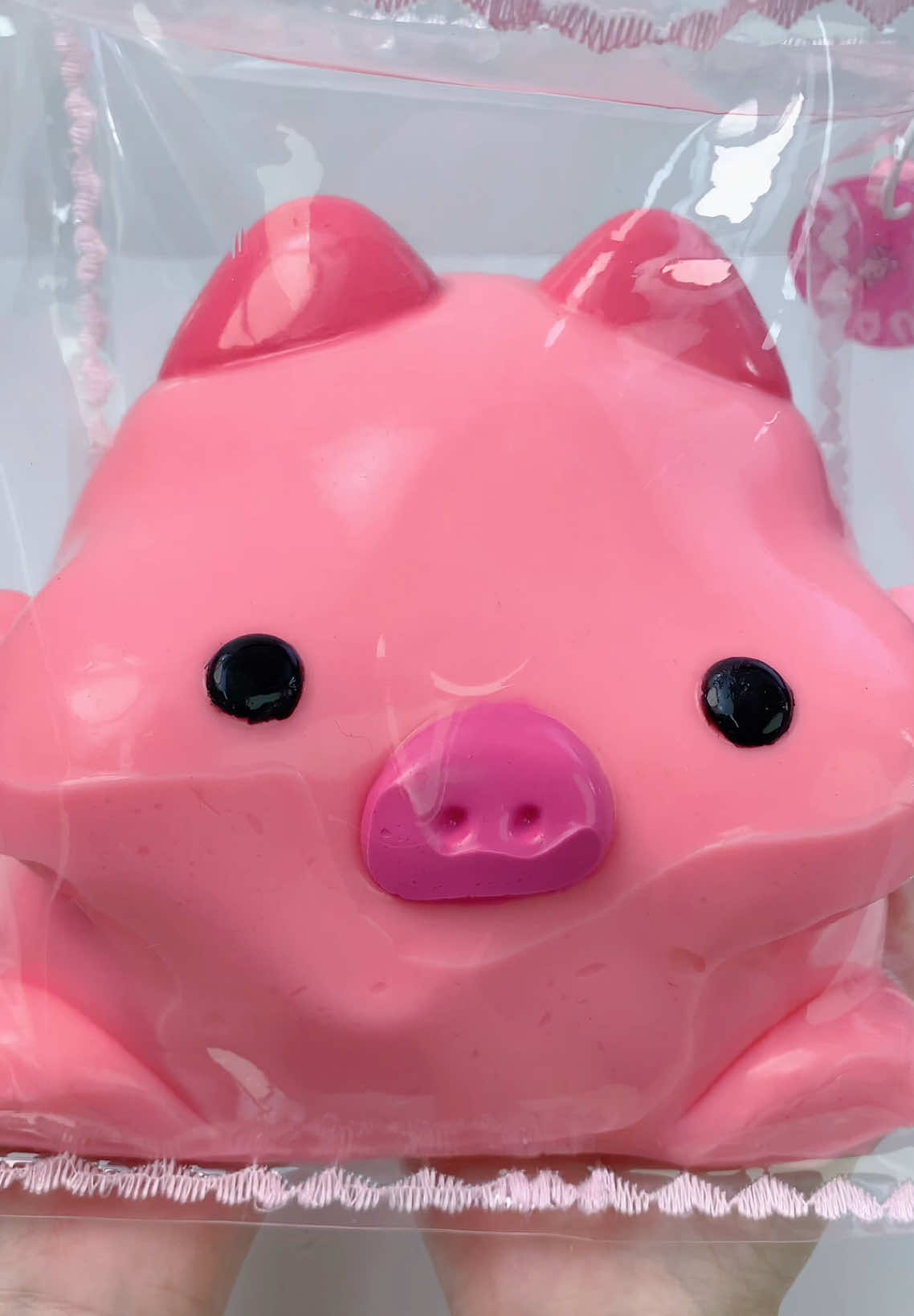 FUFUSQUISHY ASMR 🐷🐷 Pig